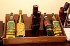 Cazare in Salonta - PENSIUNEA TIMISOARA - Timisoara - click aici, pentru marirea pozei
