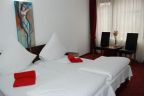 Cazare in Salonta - PENSIUNEA PURA VIDA *** - Timisoara - click aici, pentru marirea pozei